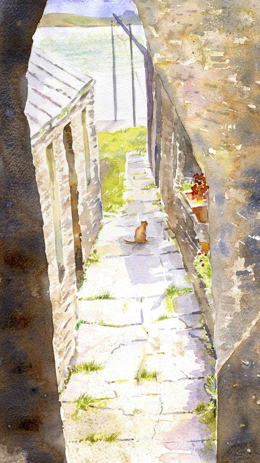 Limited edition print/Ginger Tom, Stromness