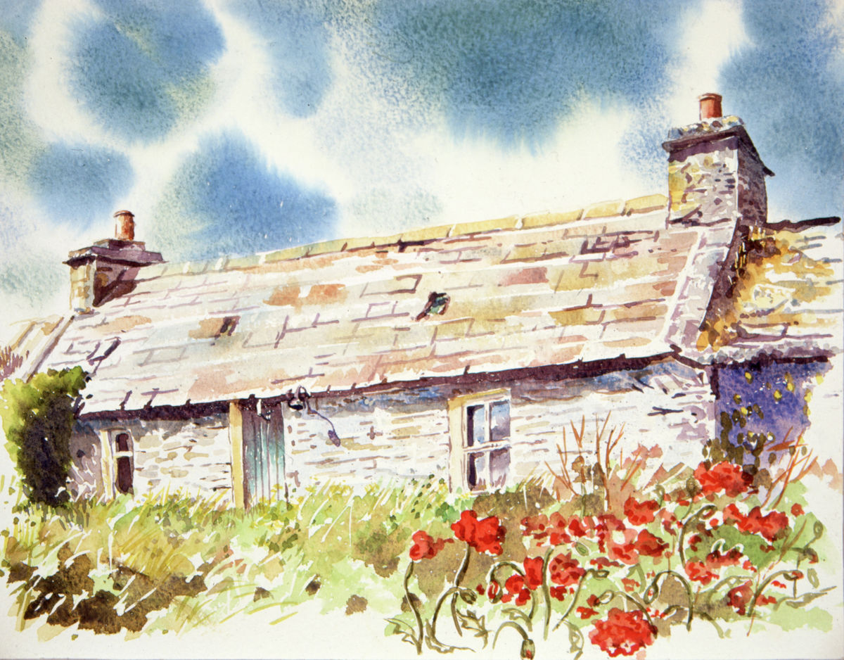 Limited edition print/Poppies at Mrs Findlays cottage