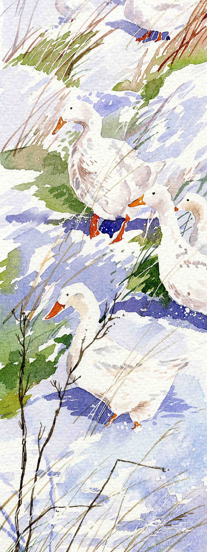 Limited edition print/Geese in the snow