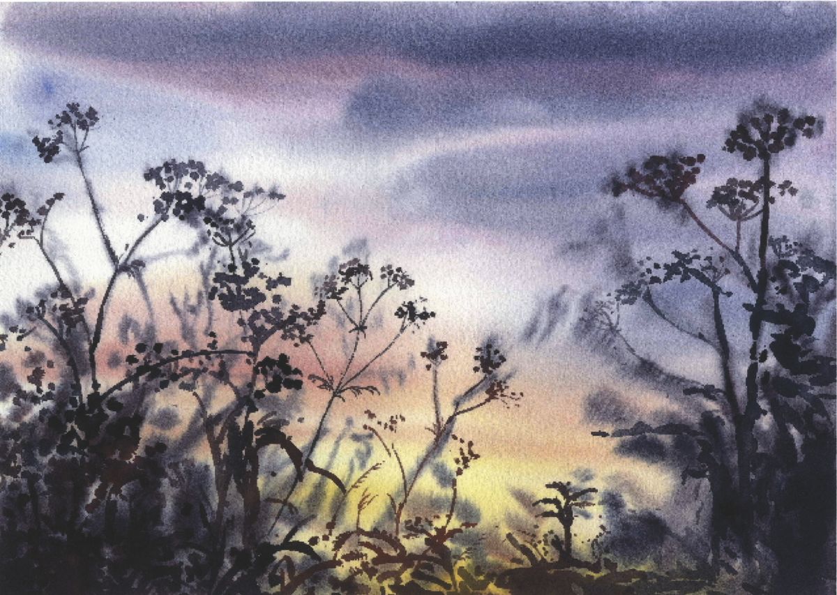 Limited edition print/Cow parsley sunset
