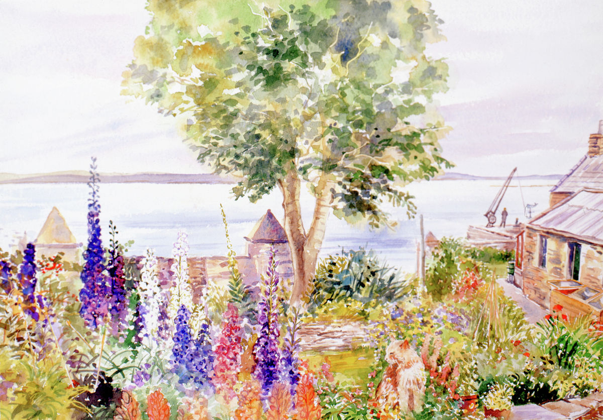 A print from a watercolour painting of a Stromness garden by Orkney artist Jane Glue, Scotland