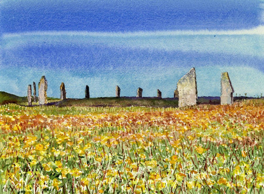 Limited edition print/Dandelions and The Ring of Brodgar, Orkney