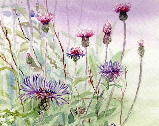 Limited edition print/Cornflowers and Thistles