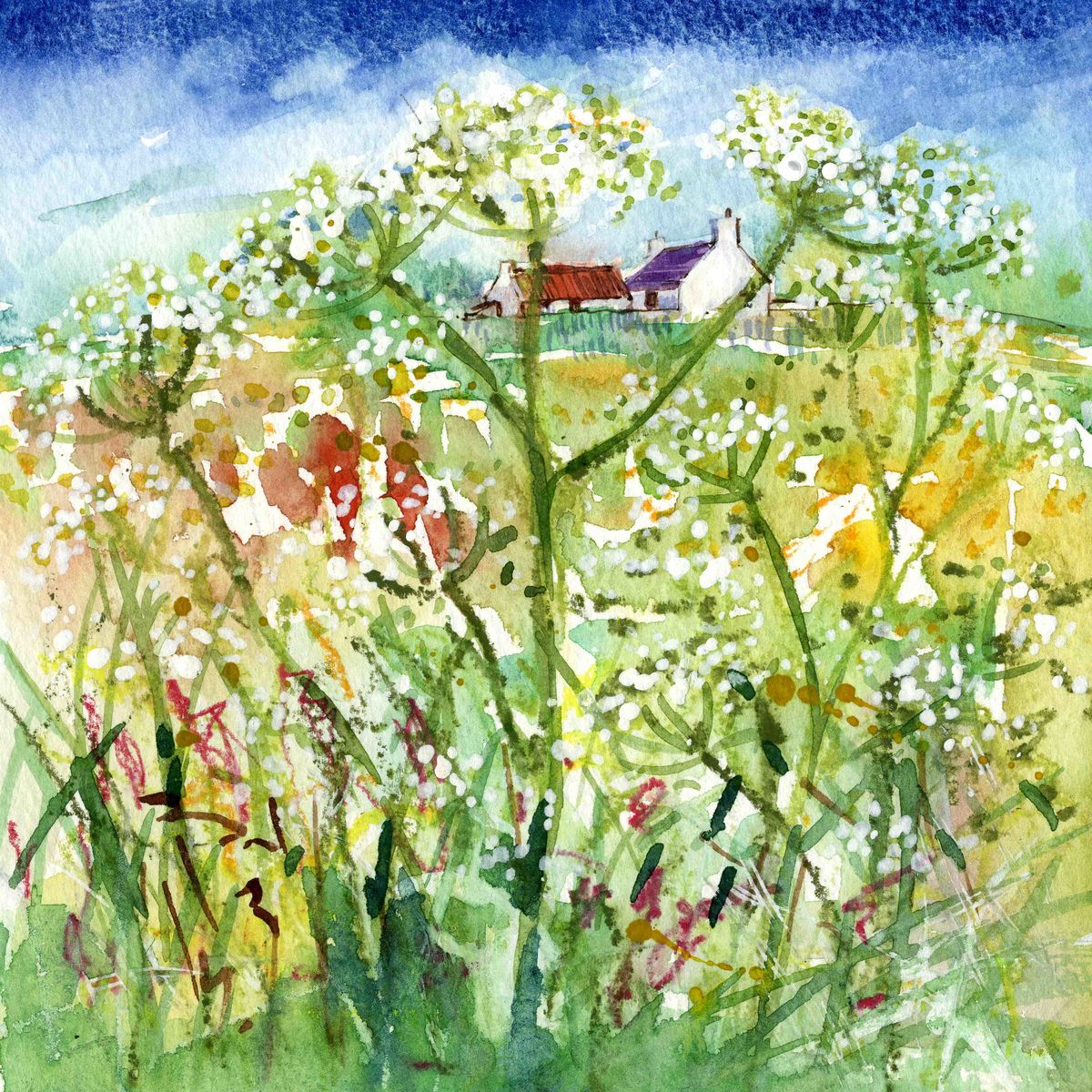 Limited edition print/Wildflowers and cottage, Flotta