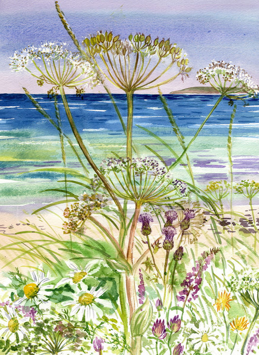 Limited edition print/Cow parsley on the shoreline