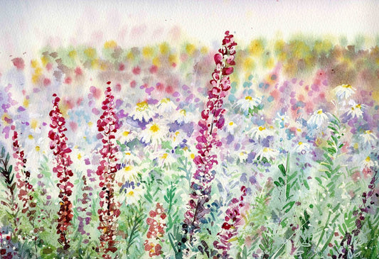Limited edition print/Lupins and daisies